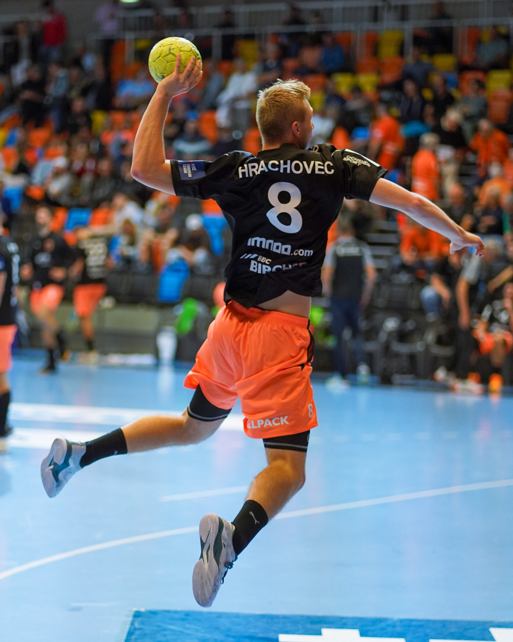 Hrachovec, Quickline Handball League, GC Amicitia Zürich vs Kadetten Schaffhausen, BBC Arena